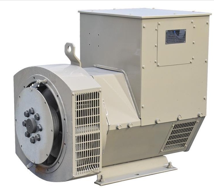 可适用于50Hz或60Hz电路的AVR电机